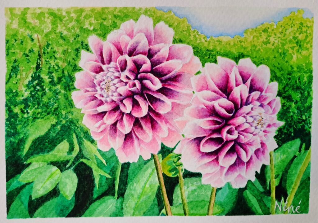 watercolour art by Nene from petals on parchment art studio based in South Africa. Featuring a Dahlia in a green garden