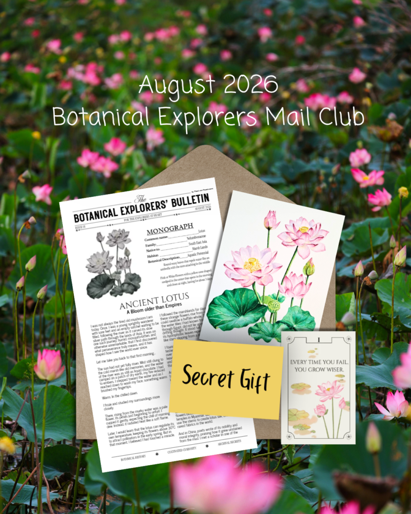 Issue 01 - Lotus (August 2026 Mail Club)