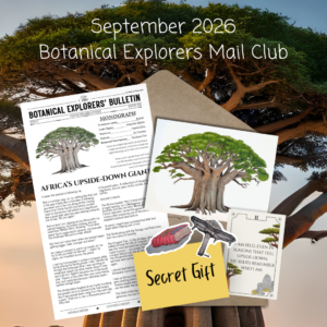 Issue 02 - Baobab (September 2026 Mail Club)