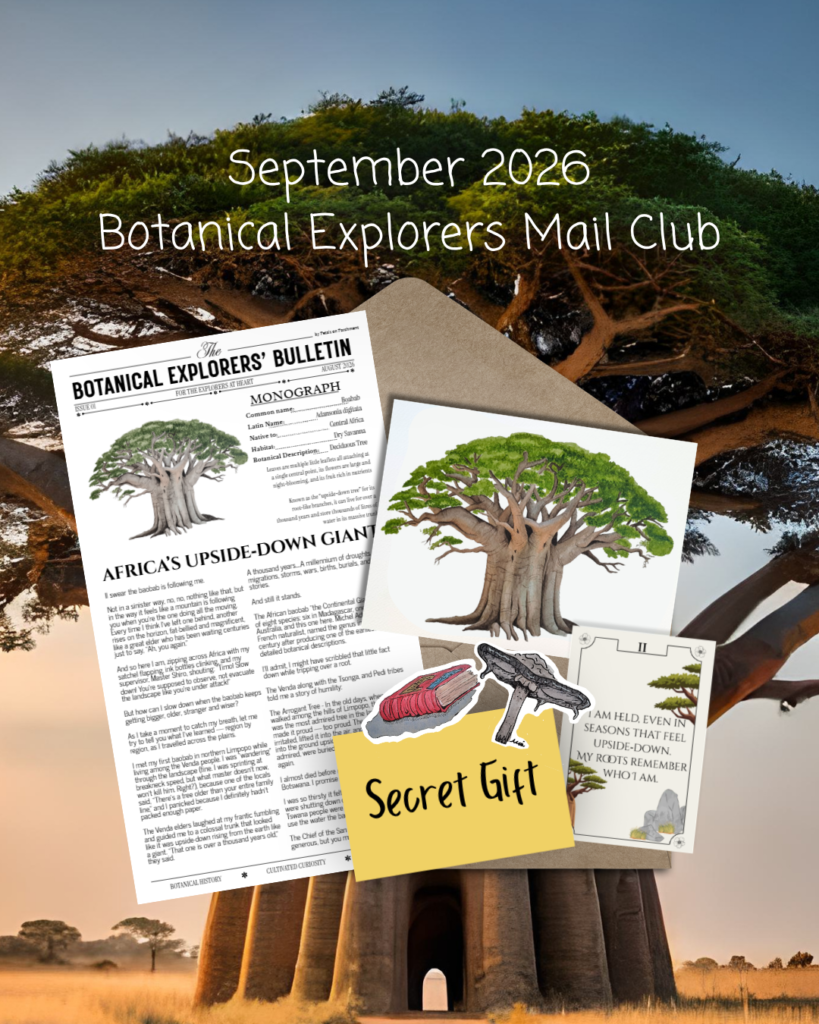 Issue 02 - Baobab (September 2026 Mail Club)