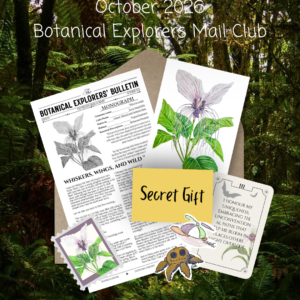 Issue 03 - White Bat Flower (October 2026 Mail Club)