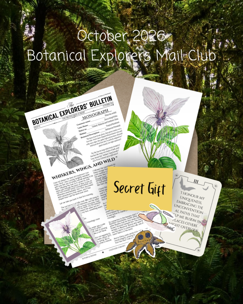 Issue 03 - White Bat Flower (October 2026 Mail Club)